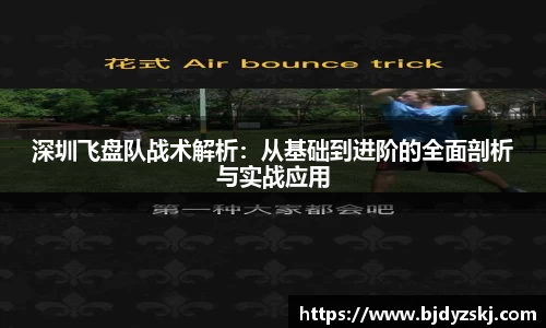 深圳飞盘队战术解析：从基础到进阶的全面剖析与实战应用