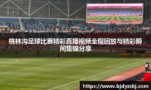 桃林沟足球比赛精彩直播视频全程回放与精彩瞬间集锦分享
